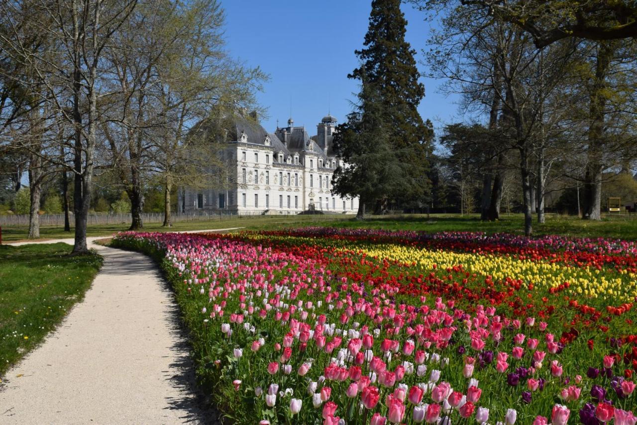 Logis Hotel Du Cygne Bracieux Kültér fotó